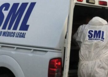 Mujer fallece al ser atropellada por maquinaria dentro de un fundo en Paillaco.