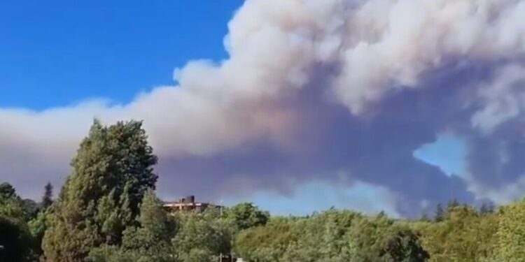 Se declara Alerta Roja en Concepción debido a un incendio forestal: una columna de humo es visible desde diversas comunas.