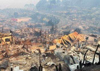 Hasta ahora, los incendios forestales en el Biobío han causado 15 muertes.