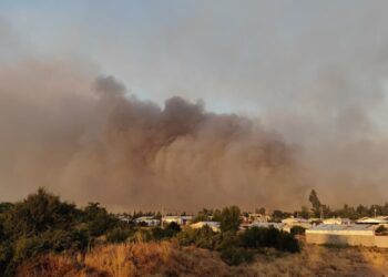 Incendio forestal en Laja arrasa más de 2.000 hectáreas y destruye siete viviendas.