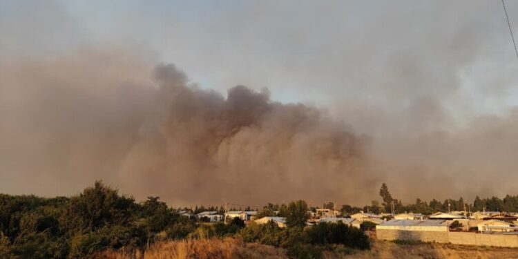 Incendio forestal en Laja arrasa más de 2.000 hectáreas y destruye siete viviendas.