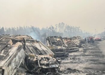 Más de 24 mil clientes en Biobío se quedan sin electricidad debido a los incendios forestales.
