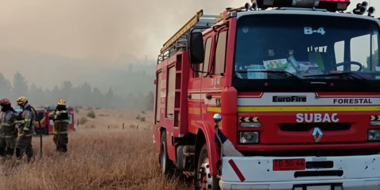 Bomberos agredidos mientras luchaban contra un incendio forestal en Angol: Presidente Boric rechazó la situación.