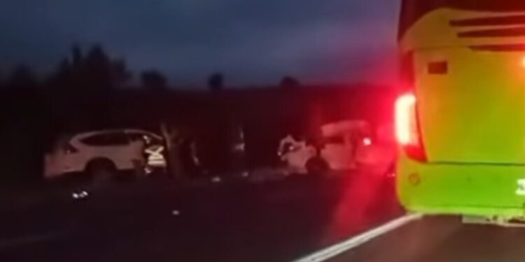 Accidente frontal entre vehículos en Algarrobo provoca dos muertos y varios heridos graves.