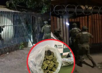 Desmantelan peligrosa banda delictiva que traficaba drogas desde la Región Metropolitana hacia Los Ángeles.