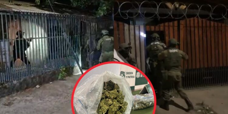 Desmantelan peligrosa banda delictiva que traficaba drogas desde la Región Metropolitana hacia Los Ángeles.