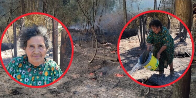 Adulta mayor casi pierde sus animales y hogar debido a un incendio forestal en Mulchén.