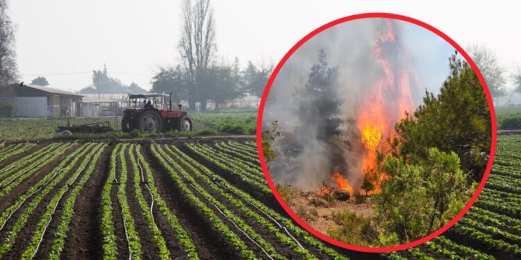 Reiteran el llamado preventivo a implementar Faena Cero para disminuir el riesgo de incendios forestales en Biobío.