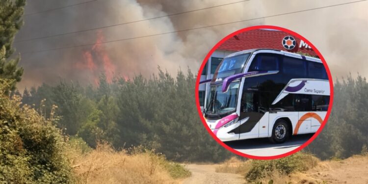 ¿Eres bombero? Compañía de buses otorga pasajes gratuitos en Biobío, Ñuble y La Araucanía durante el estado de emergencia.