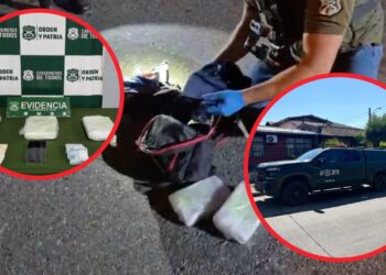 Capturan a fugitivo por homicidio durante operativos en Cabrero y Los Ángeles, donde se confiscó una gran cantidad de droga.