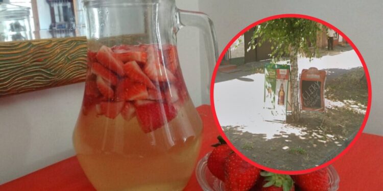 La histórica ruta del clery en Los Ángeles: la bebida que definió veranos, comunidades y recuerdos.