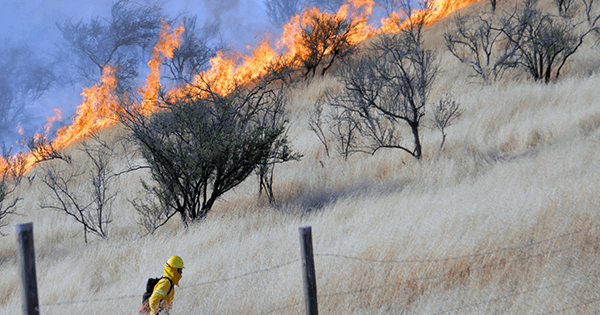 Senapred lanza Alerta Temprana Preventiva en la RM por riesgo de incendios forestales.