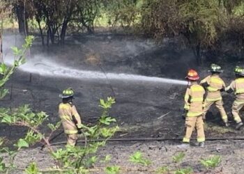 Alerta en Lampa: incendio forestal activa a los Bomberos en el sector Chorrillos.