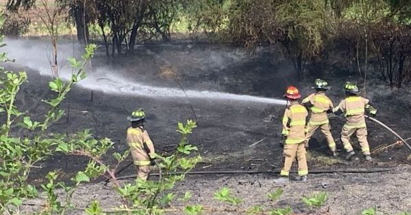 Alerta en Lampa: incendio forestal activa a los Bomberos en el sector Chorrillos.