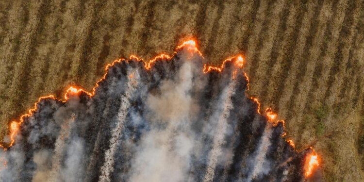 Lanzan plataforma tecnológica que podría revolucionar la forma de manejar incendios forestales en Chile.