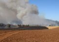 Ministerio de Agricultura declara emergencia agrícola en La Araucanía debido a los incendios forestales.