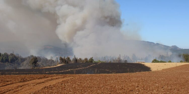 Ministerio de Agricultura declara emergencia agrícola en La Araucanía debido a los incendios forestales.