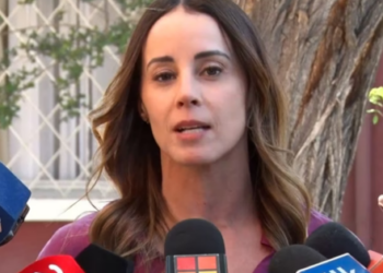 Sedini llama a tener cuidado en el debate sobre la Sala Cuna Universal y deja claro el estilo de su futura vocería.