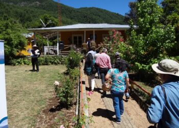 El Museo del Agua Bullileo revitaliza espacios esenciales con fondos para museos 2025.