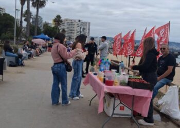 ¿Un desierto urbano en el borde costero de Viña del Mar? Ruidos, alcohol, comida callejera y comercio informal provocan la indignación vecinal.