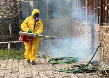 Fortalecen la vigilancia del Aedes aegypti: las provincias de Los Andes y San Felipe continúan sin casos autóctonos.