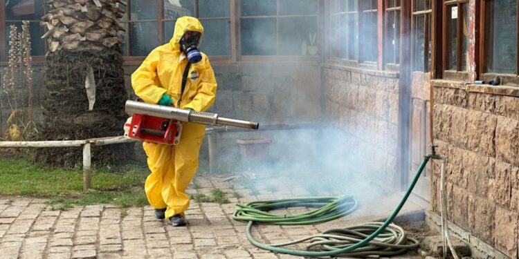 Fortalecen la vigilancia del Aedes aegypti: las provincias de Los Andes y San Felipe continúan sin casos autóctonos.