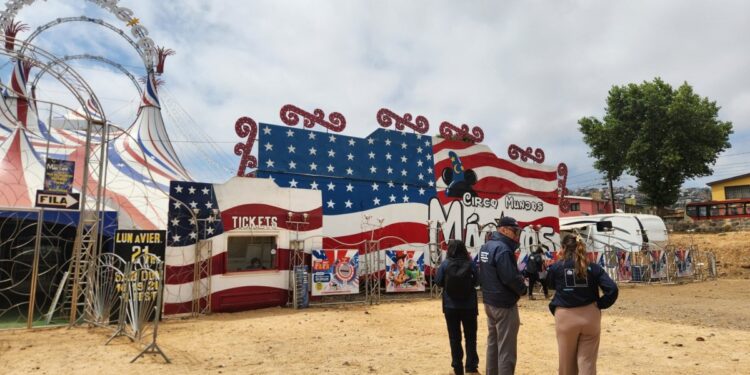 Inspeccionan circo en Viña del Mar para fortalecer la seguridad eléctrica durante la temporada de verano.