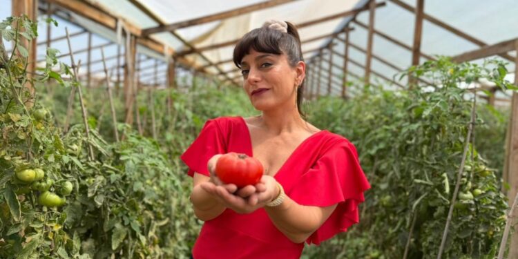 De «Circo de las Montini» a la Fiesta del Tomate: actriz interpretó a Waleska Marambio para promocionar la tradicional celebración en Limache.