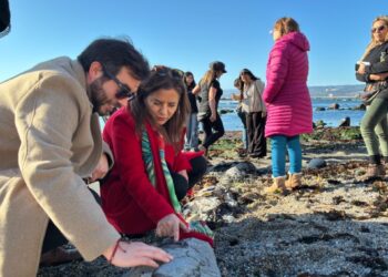 Más de 140 actividades animarán la primera edición del Día de los Patrimonios en Verano en la región de Valparaíso.
