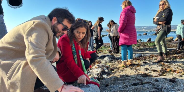 Más de 140 actividades animarán la primera edición del Día de los Patrimonios en Verano en la región de Valparaíso.