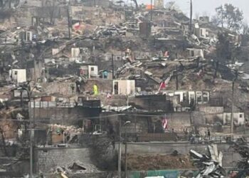 Gobierno informa sobre bono para afectados por incendios en Ñuble y Biobío.