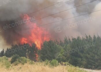 Se reaviva incendio forestal en Los Ángeles: situación incontenible.