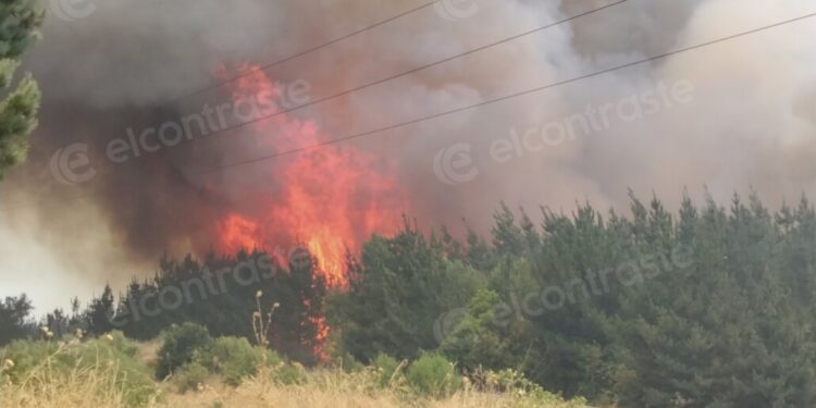 Se reaviva incendio forestal en Los Ángeles: situación incontenible.