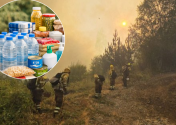 Municipios ponen en marcha campañas solidarias para apoyar al sur por los incendios forestales.