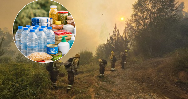 Municipios ponen en marcha campañas solidarias para apoyar al sur por los incendios forestales.