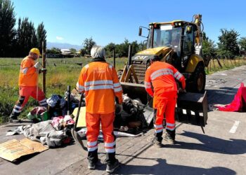 Más de 500 rucos fueron retirados en 2025, y en lo que va de 2026 ya se han superado los 600.