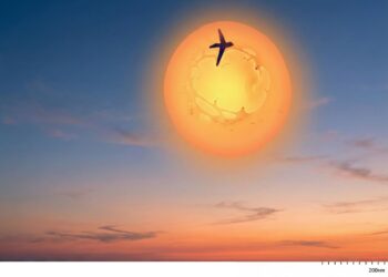 CEDENNA premia fotos científicas que muestran la increíble belleza del nanomundo.