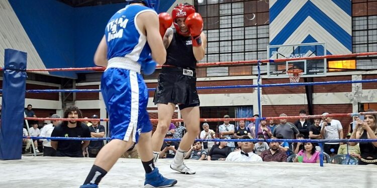 Boxeo talquino conmemora su exitoso torneo anual, destacando por su alto nivel y gran afluencia de público.