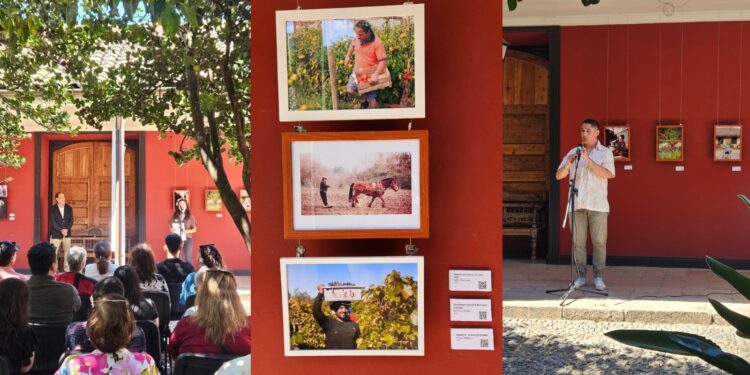 Nueva exposición gratuita en Talca destaca la fotografía y la memoria rural.