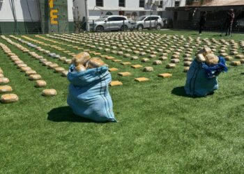 Dos personas quedaron en prisión preventiva por transportar 719 kilos de drogas en un camión en Chañaral.