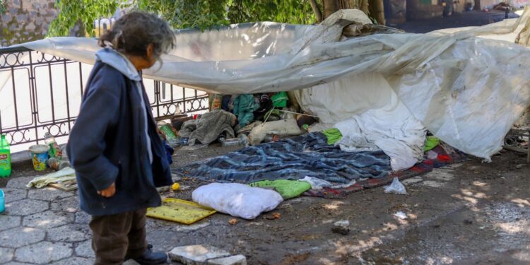 Plan intensivo de la Municipalidad de Santiago logra sacar 1.500 rucos en dos meses.