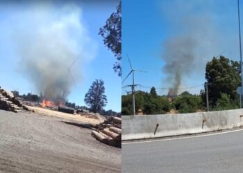 Incendio forestal incontrolable en Los Ángeles: Bomberos activan la primera alarma.