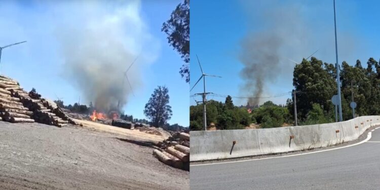 Incendio forestal incontrolable en Los Ángeles: Bomberos activan la primera alarma.