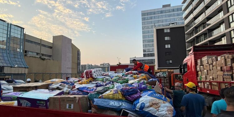 Ñuñoa y Flesan se solidarizan con las familias del sur de Chile.
