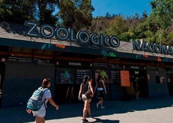 El Zoológico Metropolitano vuelve a abrir sus puertas este miércoles.