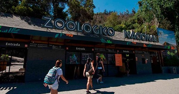El Zoológico Metropolitano vuelve a abrir sus puertas este miércoles.