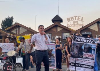 Así transcurrieron las 24 horas de sufrimiento de la perrita brutalmente maltratada en Pucón – LAVOZDEPUCON