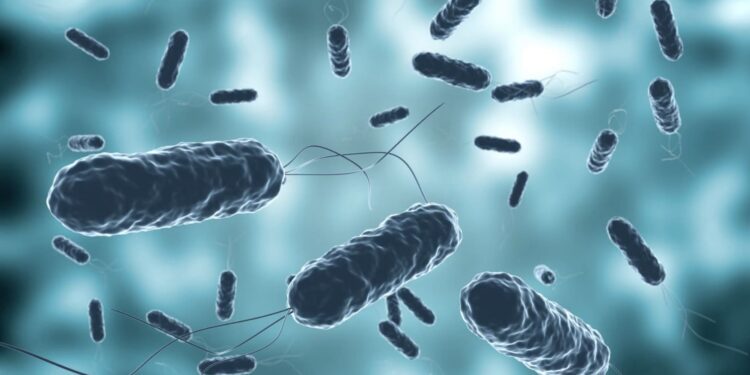 Docentes de la Universidad de Talca estudian el impacto del Helicobacter pylori en la salud renal y el rendimiento respiratorio en el deporte