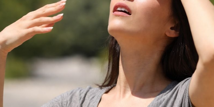 Evita complicaciones por la ola de calor – LAVOZDEPUCON