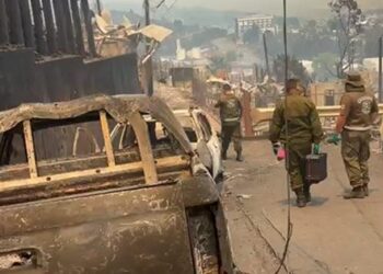 Carabinera en estado crítico tras sufrir quemaduras al intentar ayudar a su familia en incendio forestal en Penco.